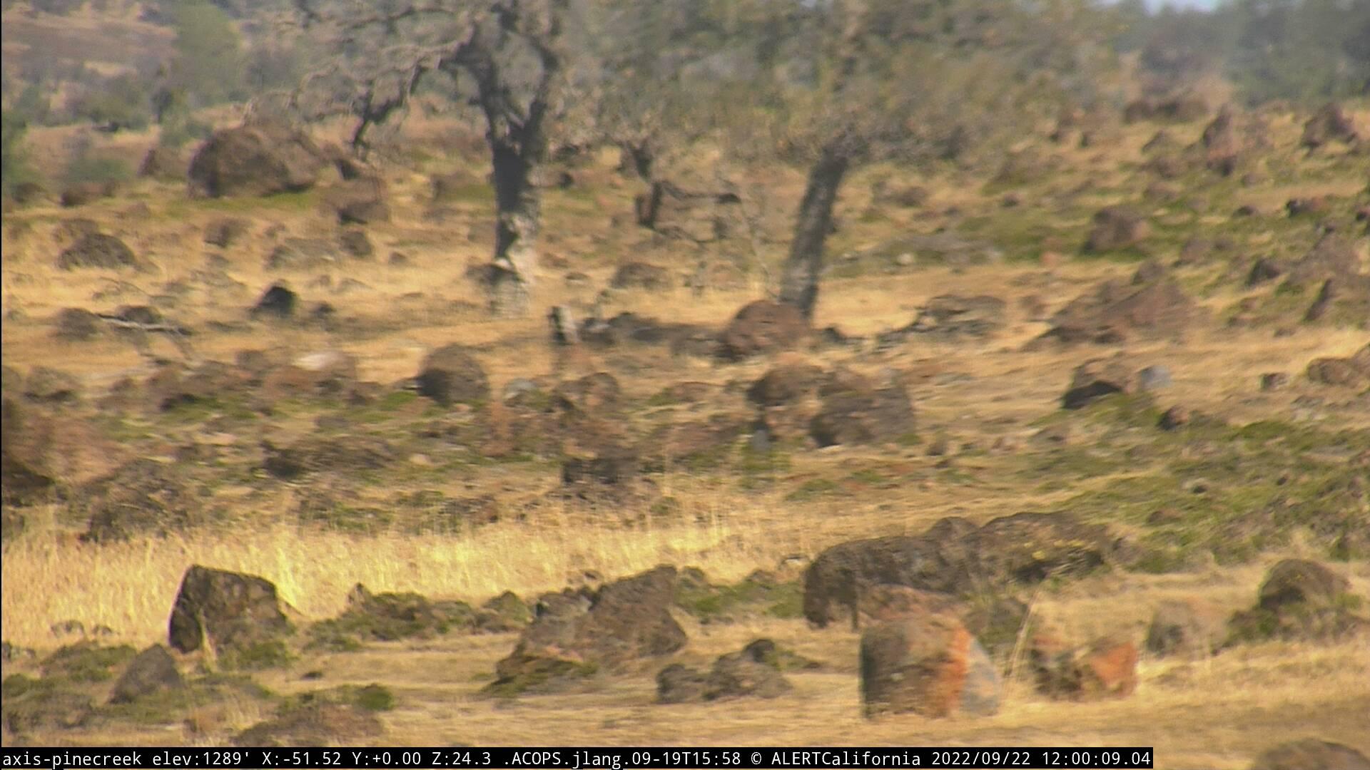 Chico: Pine Creek Traffic Camera