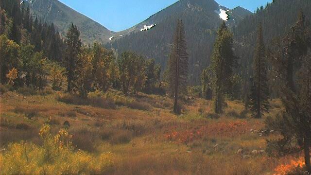 Traffic Cam Silver City: Farewell Gap, Mineral King, Sequoia National Park Player