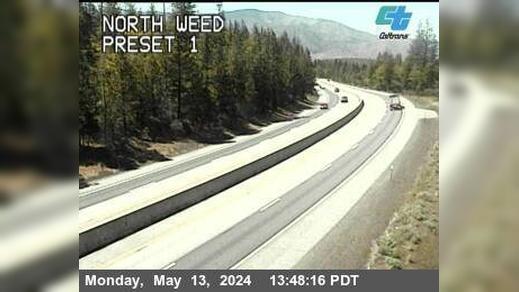 Traffic Cam Weed: North Player