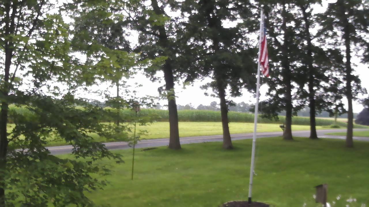 Traffic Cam Ellington › North-East Player