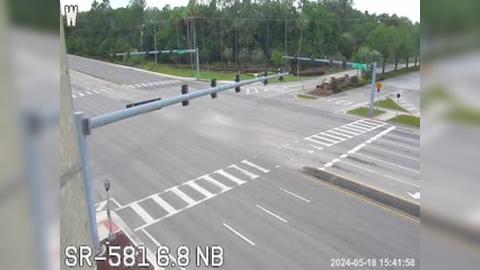 Tampa: Palm Springs - Palms Traffic Camera