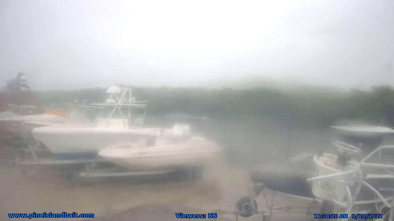 Traffic Cam Cape Coral: D and D Matlacha Bait and Tackle Webcam - Matlacha, Pine Island Player