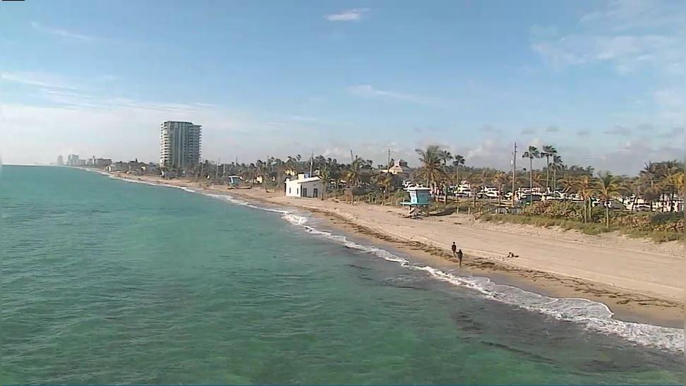 Hollywood: Webcam de Dania Beach - USA Traffic Camera