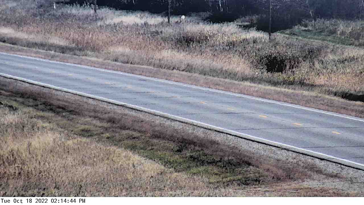 US 71: Margie Traffic Camera