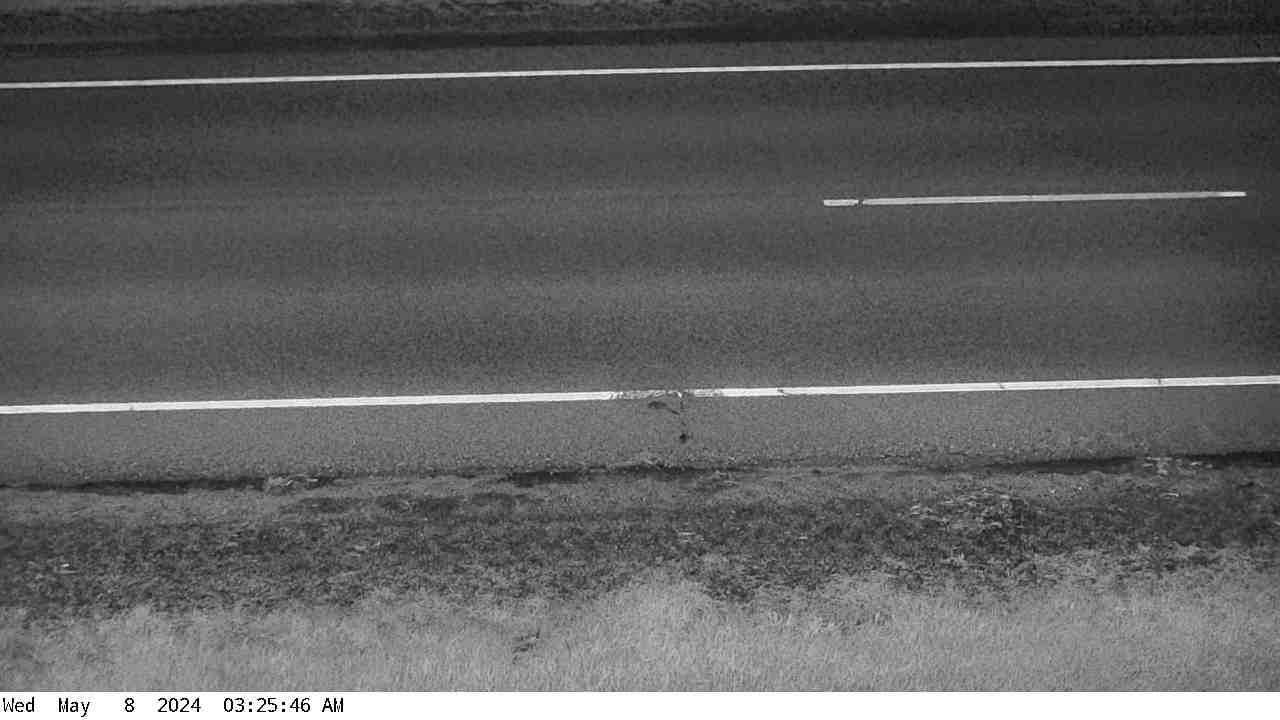 Hendrum: MN 200: T.H.200 (Halstad - MP 9): T.H.200 (Halstad - MP 9) View Traffic Camera