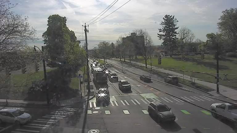 Traffic Cam Rochester: South Ave at Elmwood Ave CAM Player