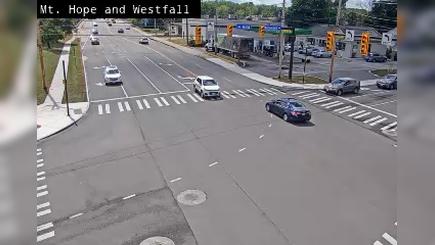 Traffic Cam Rochester: Mt Hope Ave at Westfall Rd - Player