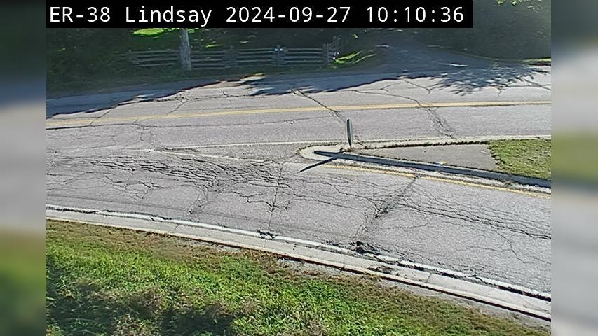 Kawartha Lakes: Highway 7 near Elm Tree Rd Traffic Camera