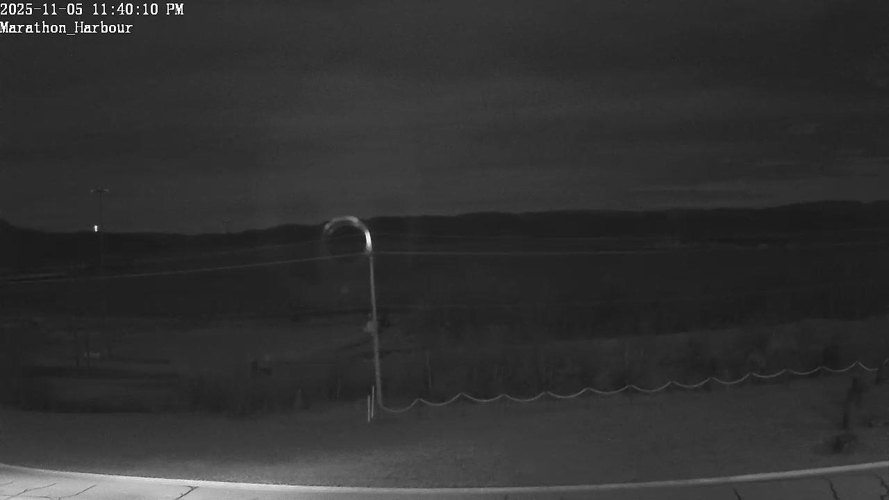 Traffic Cam Marathon › West Player