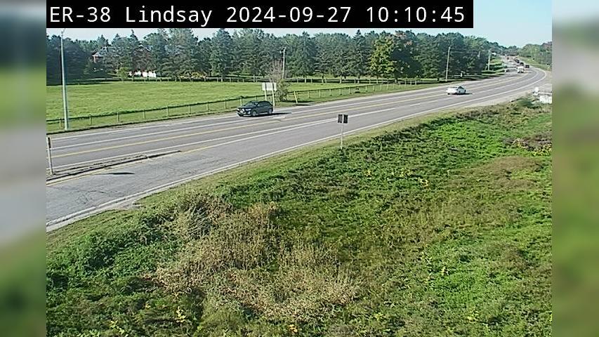 Kawartha Lakes: Highway 7 near Elm Tree Rd Traffic Camera