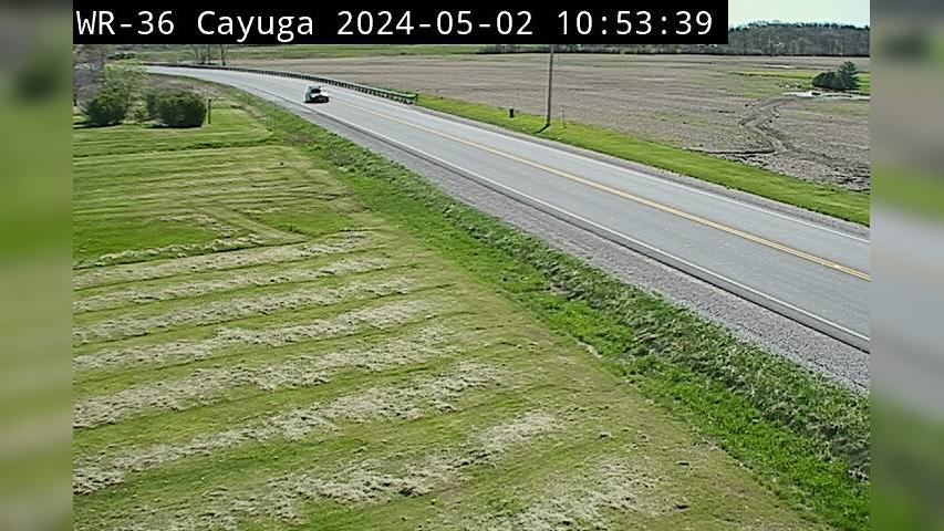 Traffic Cam Canfield: Highway 3 near Dairy Side Rd Player