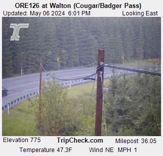 ORE126 at Walton (Cougar/Badger Pass) Traffic Camera