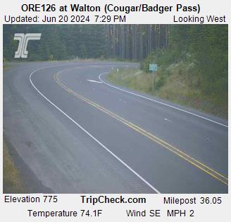 ORE126 at Walton (Cougar/Badger Pass) Traffic Camera