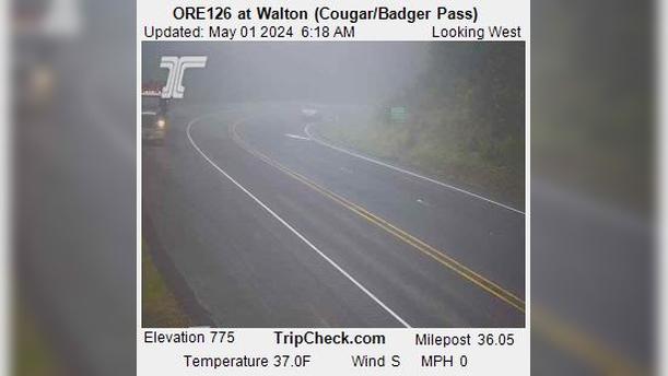 Veneta: ORE126 at Walton (Cougar/Badger Pass) Traffic Camera