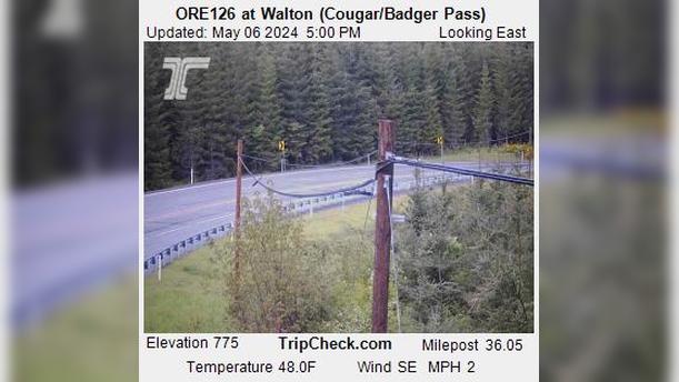 Veneta: ORE126 at Walton (Cougar/Badger Pass) Traffic Camera