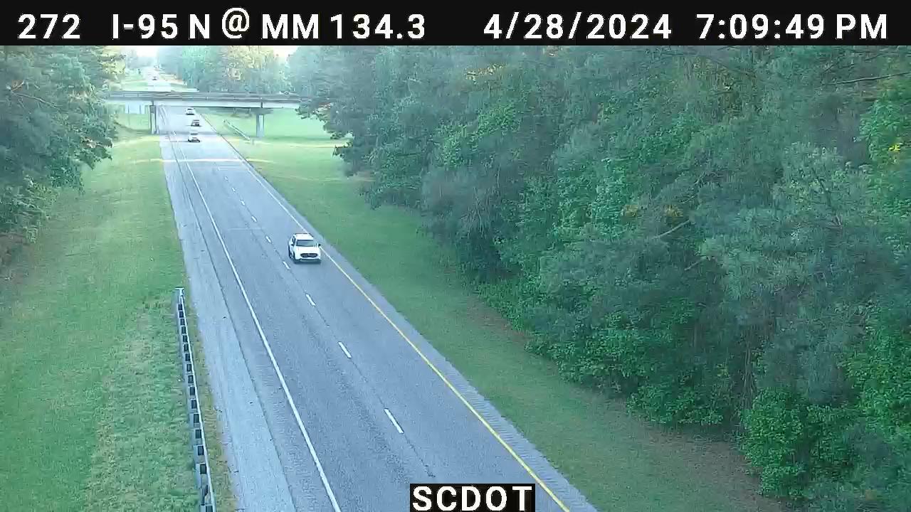 Traffic Cam Turbeville: I-95 N @ MM 134.3 Player