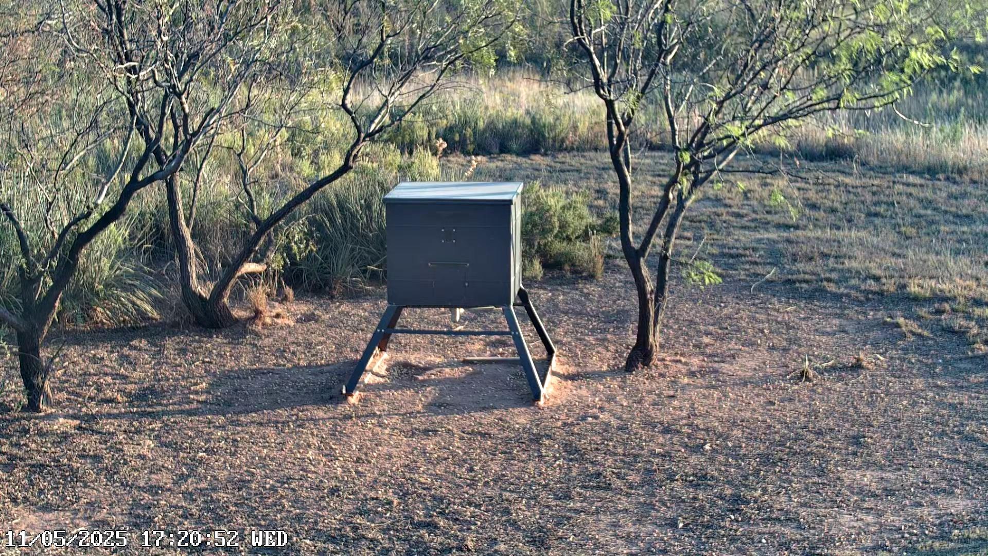 Justiceburg › South: Lake Alan Henry Traffic Camera