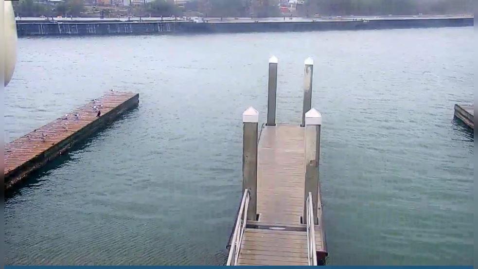Traffic Cam Aransas Pass: Webcam de - USA Player